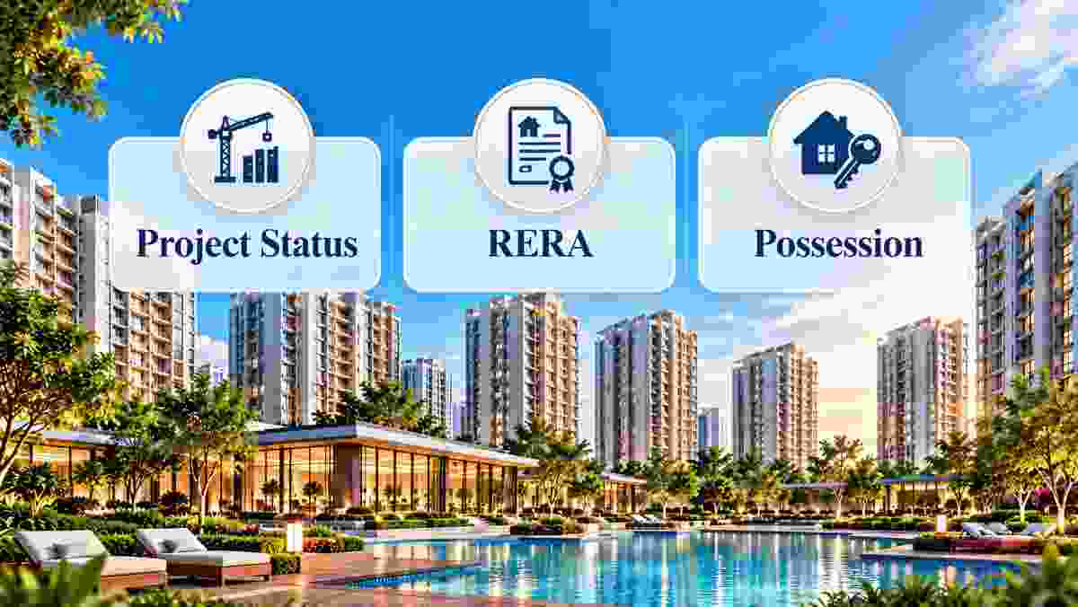 Project Status, RERA
